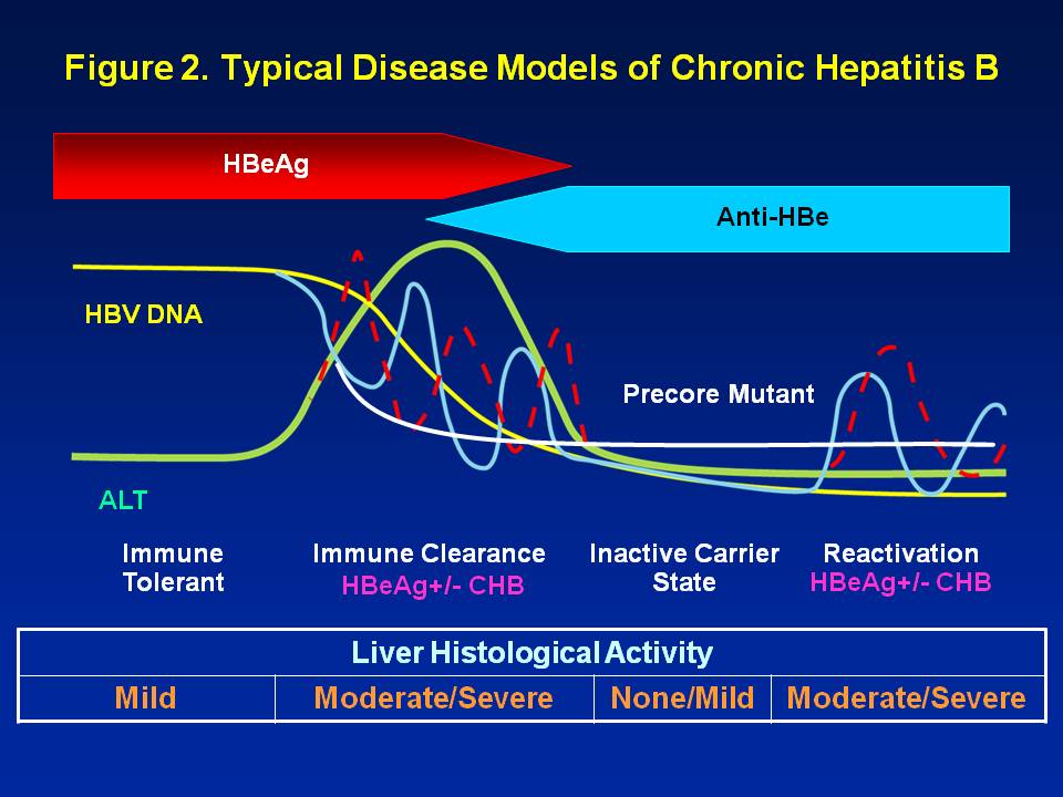 Chronic Chart