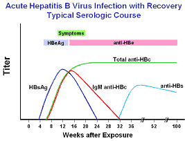 Hepatitis B Serology Chart