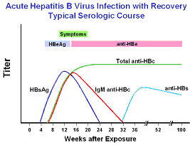 Hepatitis B Testing Chart