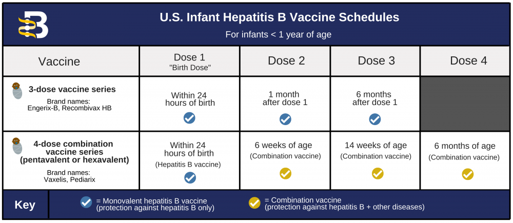 vaccine timetable