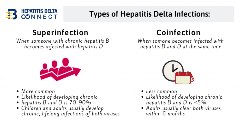 Testing and Diagnosis » Hepatitis B Foundation