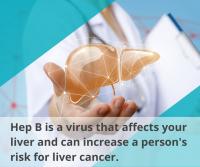 Hep B Affects Your Liver