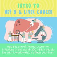 Intro To Hep B Liver Cancer Slide 1 1
