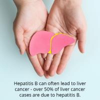 Intro To Hep B Liver Cancer Slide 5 1