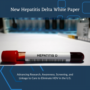 HDV White Paper2