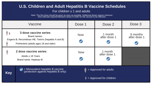Vaccine hepatitis b