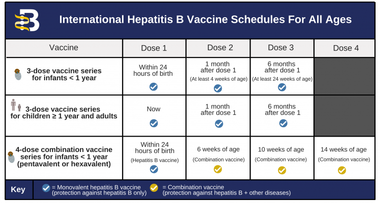 Buik Van hen Beleefd Hepatitis B Foundation: Hepatitis B Vaccine Schedules
