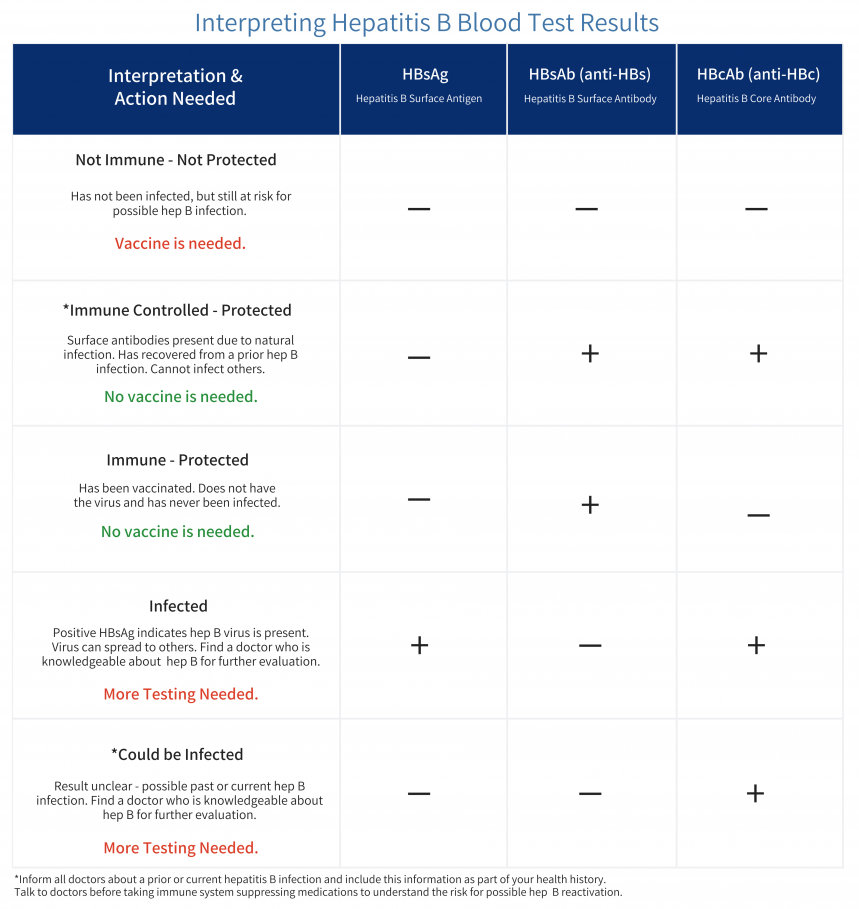 Hepatitis B Foundation Understanding Your Hepatitis B Test Results