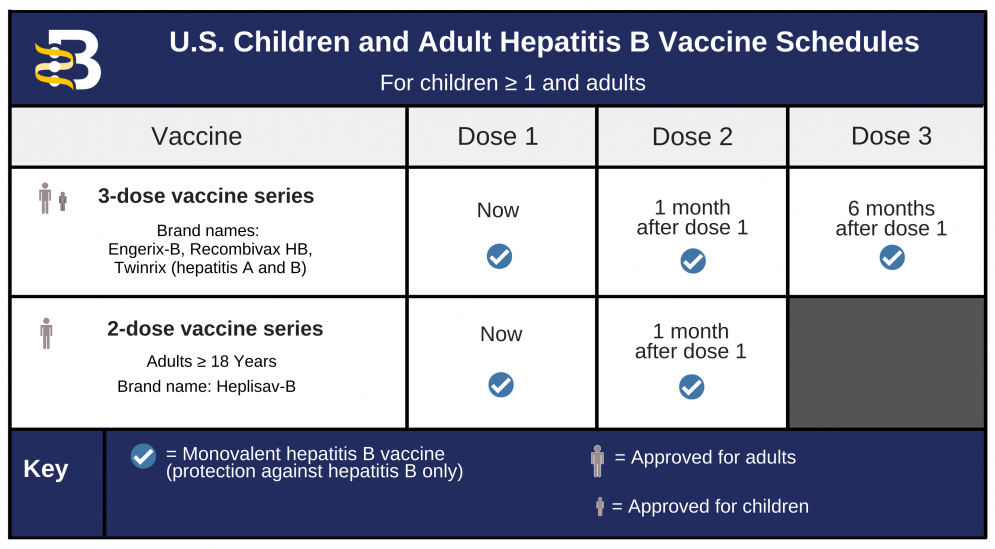 Hepatitis B Foundation Hepatitis B Vaccine Schedules