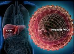 hepatic cancer and hepatitis