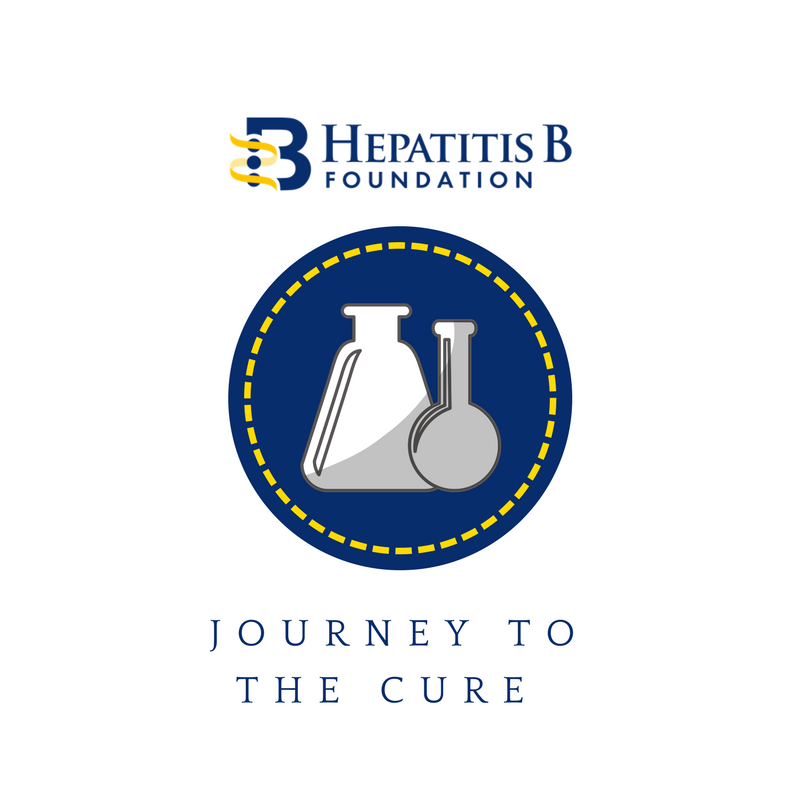 2017 A Year in Review - Hepatitis B Foundation
